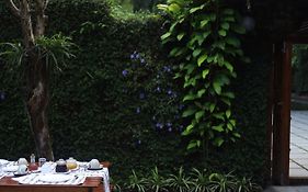 Vanilla County Guest House Vagamon  India